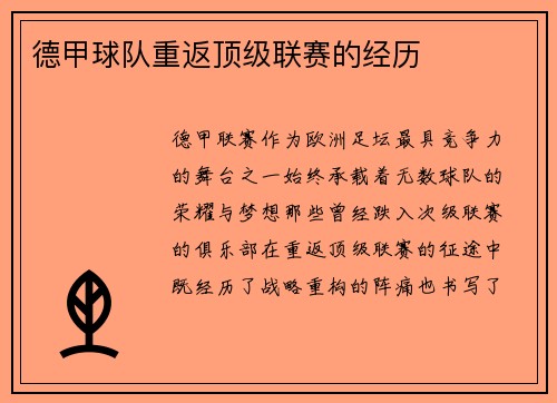 德甲球队重返顶级联赛的经历