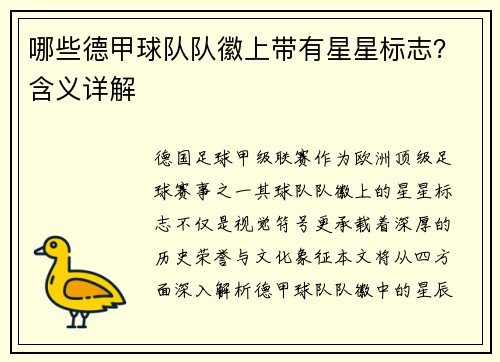 哪些德甲球队队徽上带有星星标志？含义详解